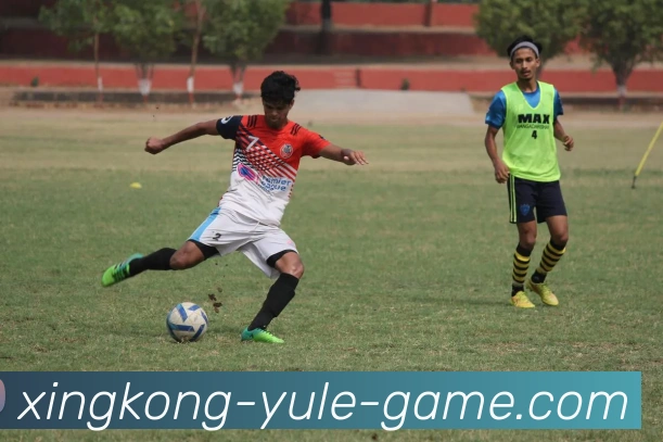 App Interface Preview