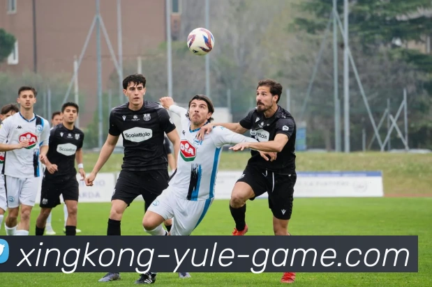 星空体育APP 封面图