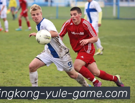 数据防护可视化