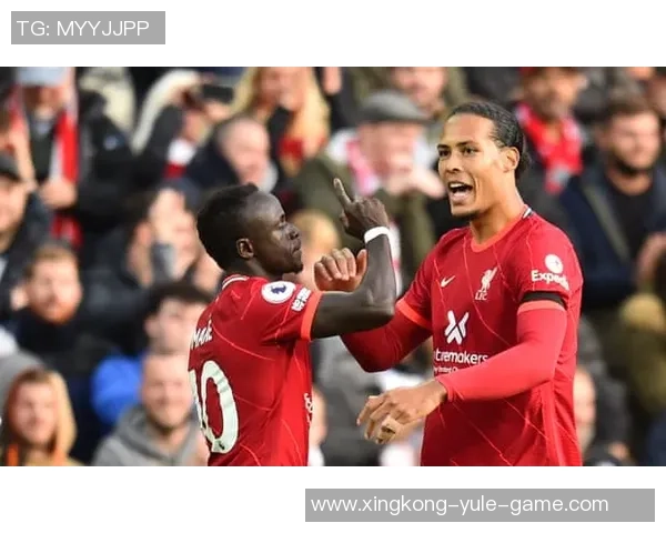 阿利松与戈麦斯意外相撞队医紧急救助后比赛得以继续进行